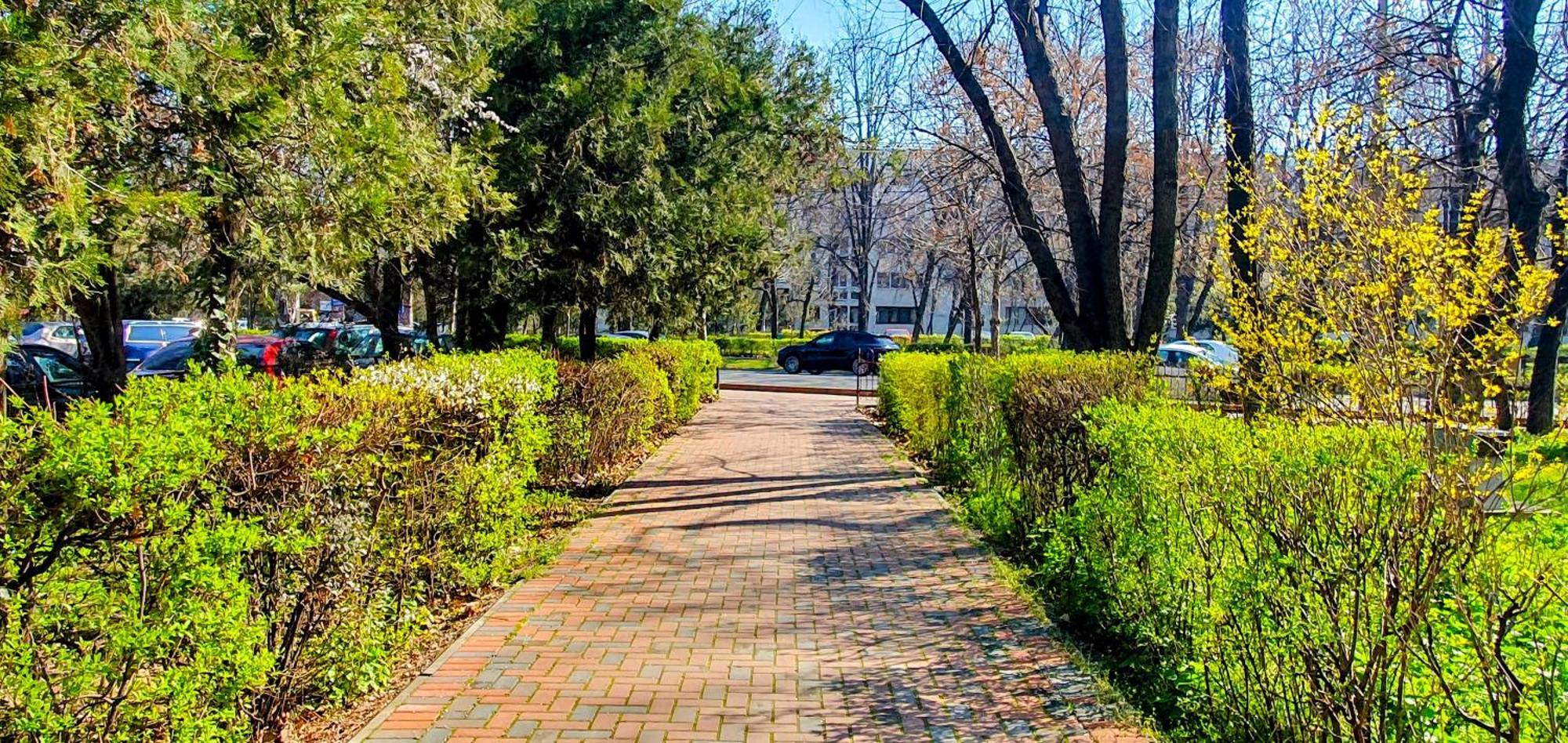 City Break Park Studio Bucureşti Exterior foto